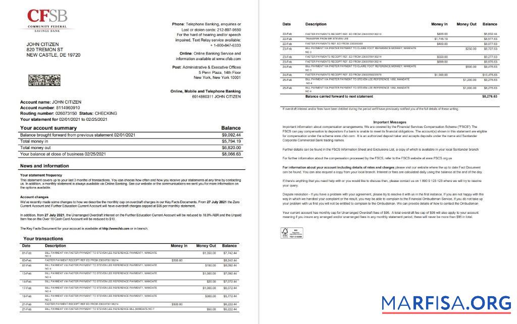 Printable USA New York CFSB bank statement 2 pages word real example